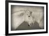 Besties-Valda Bailey-Framed Photographic Print