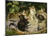 Besuch bei der kranken Katze-Julius Adam-Mounted Giclee Print