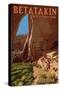 Betatakin National Monument, Arizona-Lantern Press-Stretched Canvas
