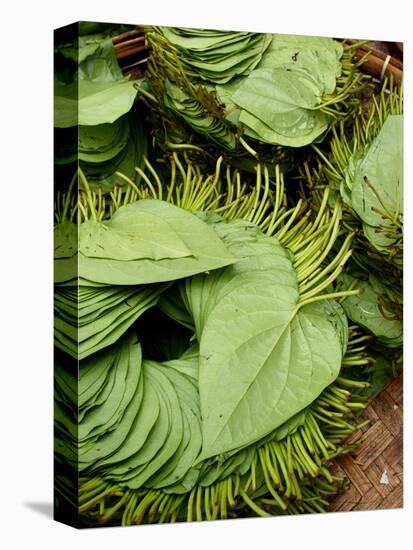 Betel Leaves (Piper Betle) Used to Make Quids for Sale at Market, Myanmar-Jay Sturdevant-Stretched Canvas