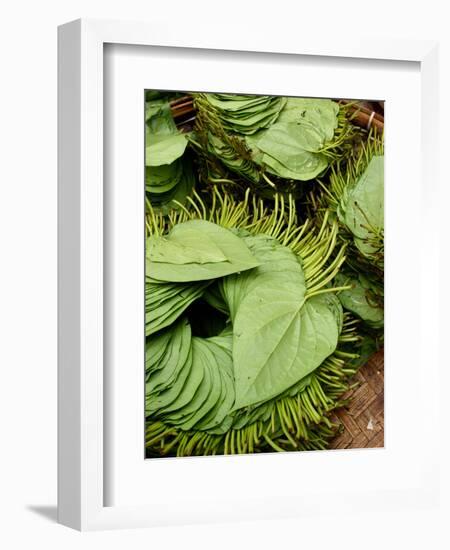 Betel Leaves (Piper Betle) Used to Make Quids for Sale at Market, Myanmar-Jay Sturdevant-Framed Photographic Print