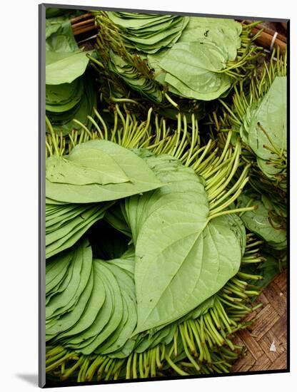 Betel Leaves (Piper Betle) Used to Make Quids for Sale at Market, Myanmar-Jay Sturdevant-Mounted Photographic Print