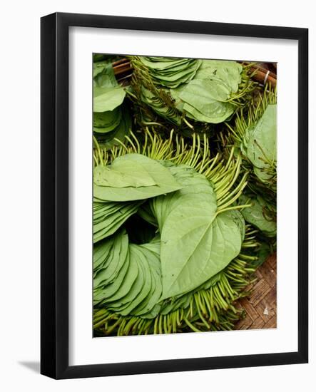 Betel Leaves (Piper Betle) Used to Make Quids for Sale at Market, Myanmar-Jay Sturdevant-Framed Photographic Print