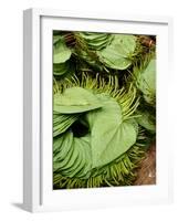 Betel Leaves (Piper Betle) Used to Make Quids for Sale at Market, Myanmar-Jay Sturdevant-Framed Photographic Print