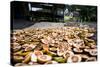 Betel Nuts Being Sold in Pulua Weh, Sumatra, Indonesia, Southeast Asia-John Alexander-Stretched Canvas