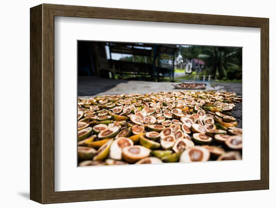 Betel Nuts Being Sold in Pulua Weh, Sumatra, Indonesia, Southeast Asia-John Alexander-Framed Photographic Print