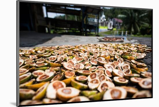 Betel Nuts Being Sold in Pulua Weh, Sumatra, Indonesia, Southeast Asia-John Alexander-Mounted Photographic Print
