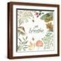 Brown Frame