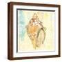 Brown Frame