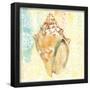 Essential Black