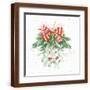 Brown Frame