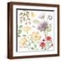 Brown Frame