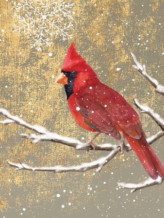 Winter Birds Cardinal Color