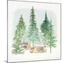 Wood Mount