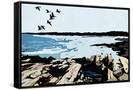 Canvas Black