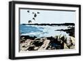 Black Frame