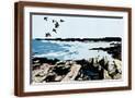 Brown Frame