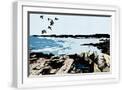 White Frame