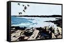 Canvas Black