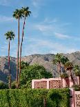 Pink Palm Springs-Bethany Young-Photographic Print