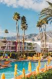 Pink Palm Springs-Bethany Young-Photographic Print