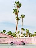 Pink Palm Springs-Bethany Young-Photographic Print