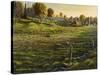 Bethel Farm Morning-Bruce Dumas-Stretched Canvas