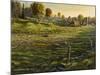 Bethel Farm Morning-Bruce Dumas-Mounted Giclee Print