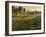 Bethel Farm Morning-Bruce Dumas-Framed Giclee Print