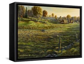 Bethel Farm Morning-Bruce Dumas-Framed Stretched Canvas