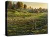Bethel Farm Morning-Bruce Dumas-Stretched Canvas