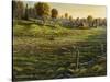 Bethel Farm Morning-Bruce Dumas-Stretched Canvas