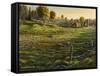 Bethel Farm Morning-Bruce Dumas-Framed Stretched Canvas