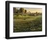 Bethel Farm Morning-Bruce Dumas-Framed Premium Giclee Print