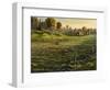 Bethel Farm Morning-Bruce Dumas-Framed Premium Giclee Print