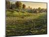 Bethel Farm Morning-Bruce Dumas-Mounted Premium Giclee Print