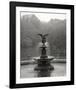 Bethesda Fountain-Chris Bliss-Framed Art Print