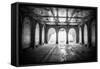 Bethesda Terrace-Bill Carson Photography-Framed Stretched Canvas