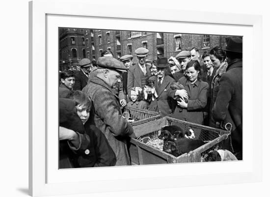 Bethnal Green Wast London Street Pet Market 1946-George Greenwell-Framed Photographic Print