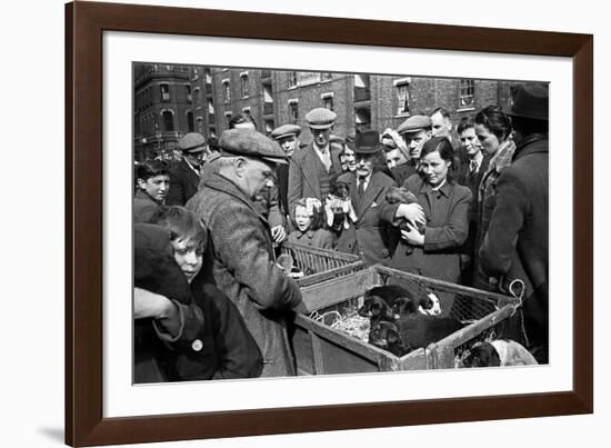 Bethnal Green Wast London Street Pet Market 1946-George Greenwell-Framed Photographic Print