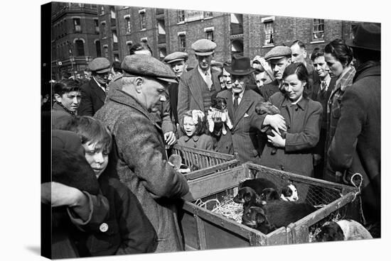 Bethnal Green Wast London Street Pet Market 1946-George Greenwell-Stretched Canvas