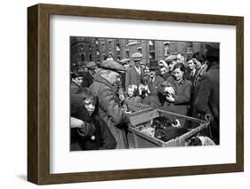 Bethnal Green Wast London Street Pet Market 1946-George Greenwell-Framed Photographic Print