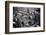 Bethnal Green Wast London Street Pet Market 1946-George Greenwell-Framed Photographic Print