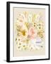 Beths Garden Muted Mustard-Leah Straatsma-Framed Art Print