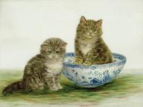 Kitten in a Blue China Bowl-Betsy Bamber-Framed Stretched Canvas