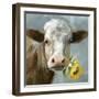 Betsy Cow-null-Framed Art Print