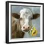 Betsy Cow-null-Framed Art Print