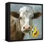 Betsy Cow-null-Framed Stretched Canvas