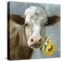 Betsy Cow-null-Stretched Canvas