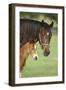 Bett-Bob Langrish-Framed Photographic Print